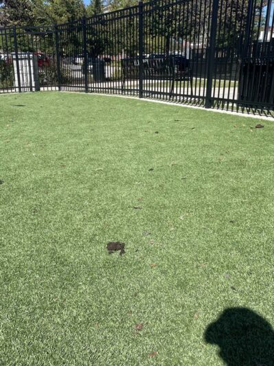 HYRO - Urban Dog Park - Lawrenceville, GA