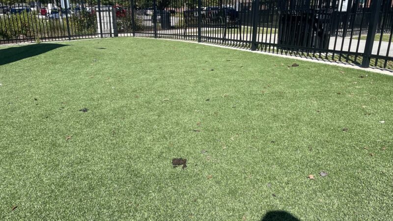 HYRO - Urban Dog Park - Lawrenceville, GA