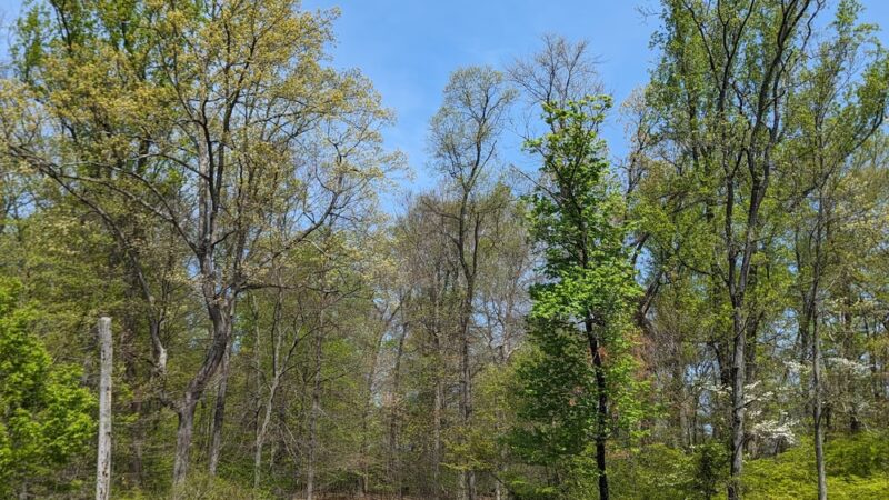 Village Park - Lawrenceville, NJ