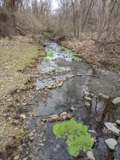 Village Park - Lawrenceville, NJ