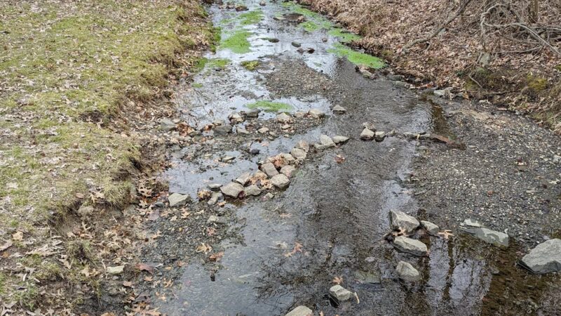 Village Park - Lawrenceville, NJ