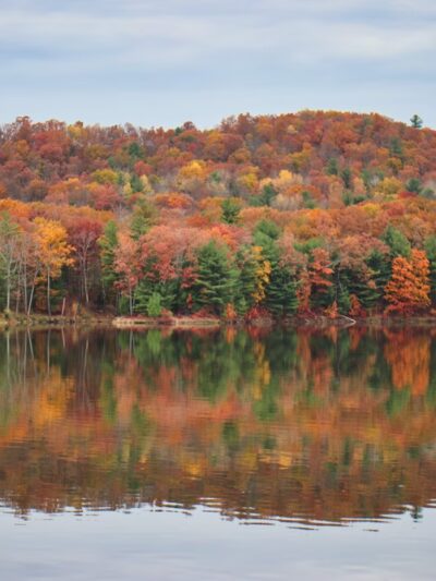 Lawrence Recreation Area - Lawrenceville, PA