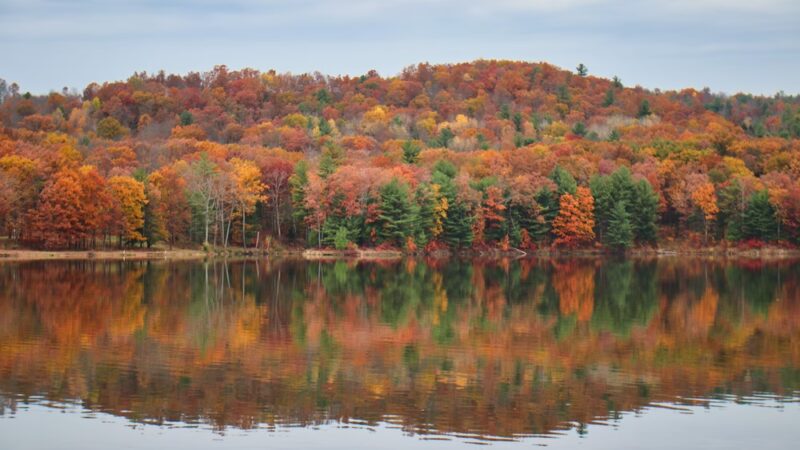 Lawrence Recreation Area - Lawrenceville, PA