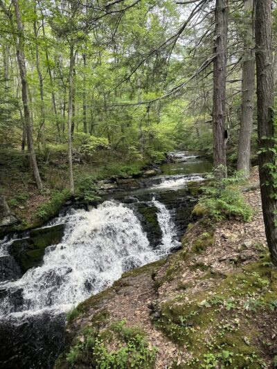 Buttermilk Falls - Layton, NJ