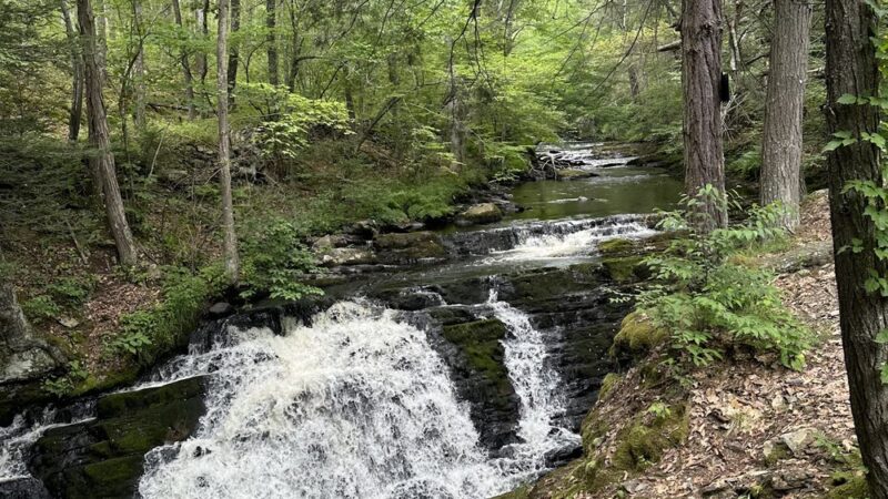 Buttermilk Falls - Layton, NJ