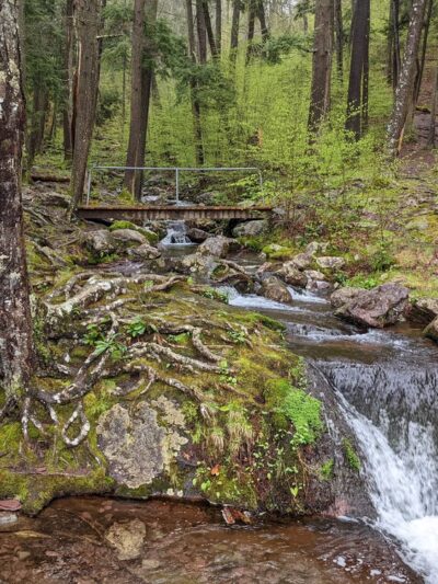 Buttermilk Falls - Layton, NJ