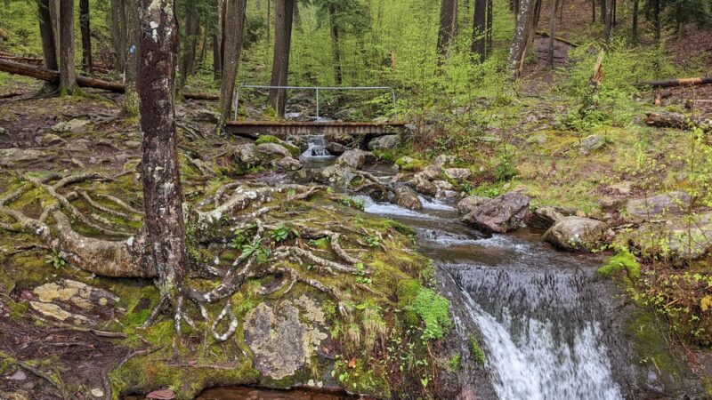 Buttermilk Falls - Layton, NJ