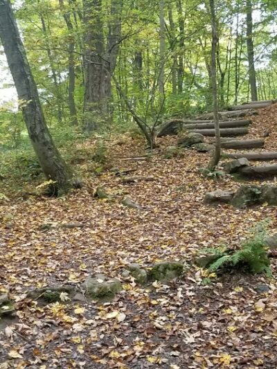 Buttermilk Falls Trail Parking, Mountain Road, Layton, NJ - Layton, NJ