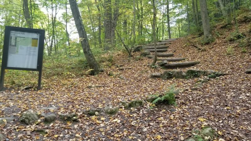 Buttermilk Falls Trail Parking, Mountain Road, Layton, NJ - Layton, NJ