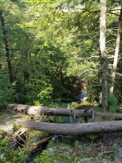 Buttermilk Falls Trail Parking, Mountain Road, Layton, NJ - Layton, NJ