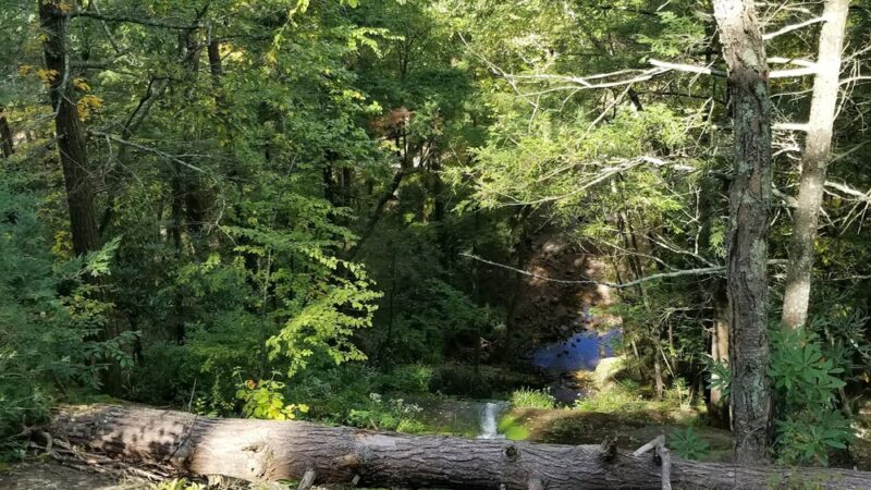 Buttermilk Falls Trail Parking, Mountain Road, Layton, NJ - Layton, NJ