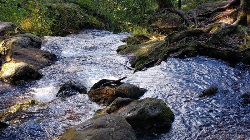 Buttermilk Falls Trail Parking, Mountain Road, Layton, NJ - Layton, NJ