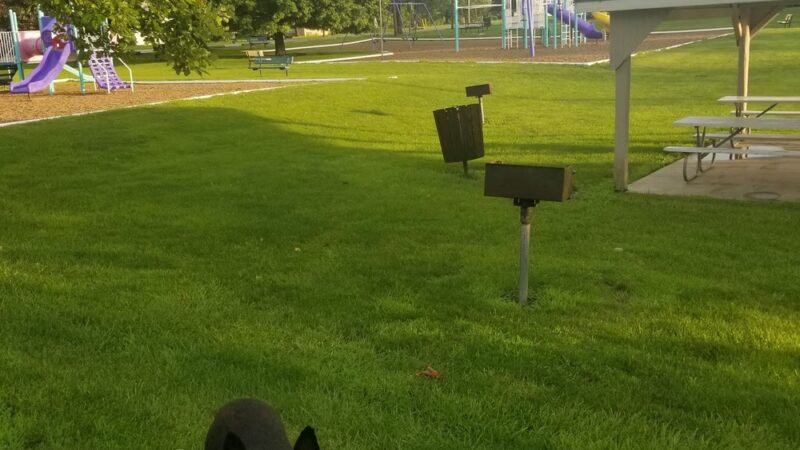 Le Grand Public Park - Le Grand, IA