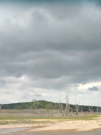 Bull Shoals Lake Parks - Lead Hill, AR