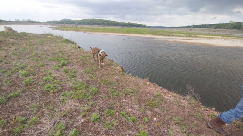 Bull Shoals Lake Parks - Lead Hill, AR
