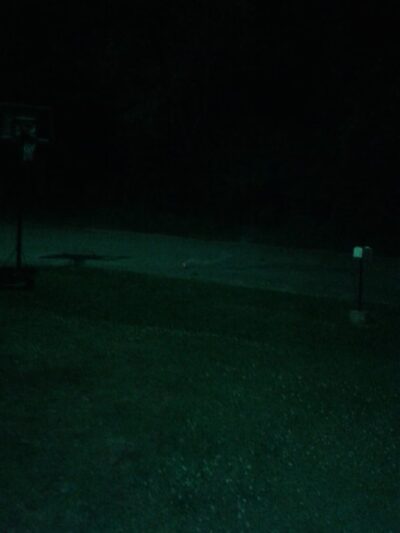 Bull Shoals Lake Parks - Lead Hill, AR