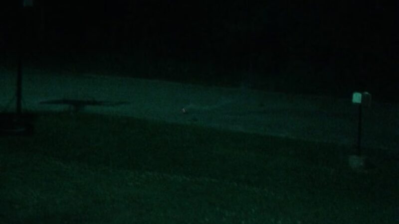 Bull Shoals Lake Parks - Lead Hill, AR