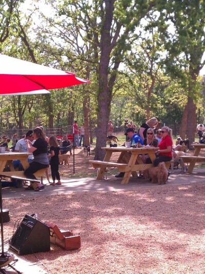 Dog House Drinkery & Dog Park - Leander, TX