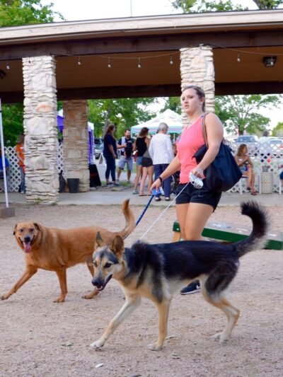 Dog House Drinkery & Dog Park - Leander, TX