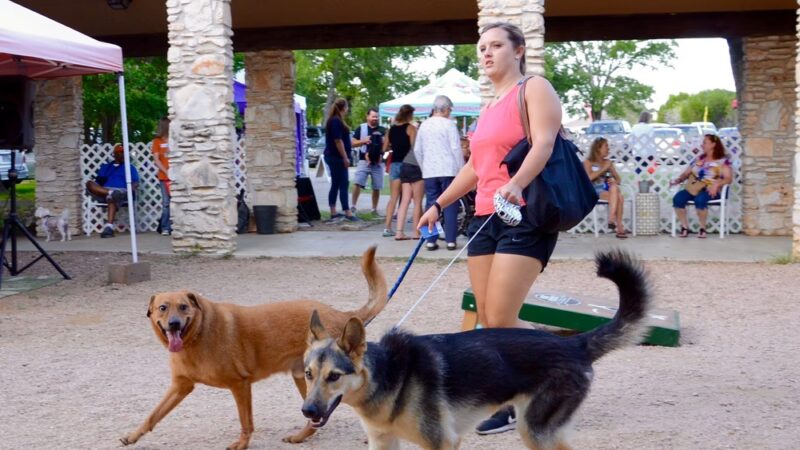 Dog House Drinkery & Dog Park - Leander, TX