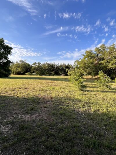 Garey Park Dog Ranch - Leander, TX