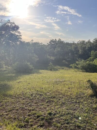 Garey Park Dog Ranch - Leander, TX