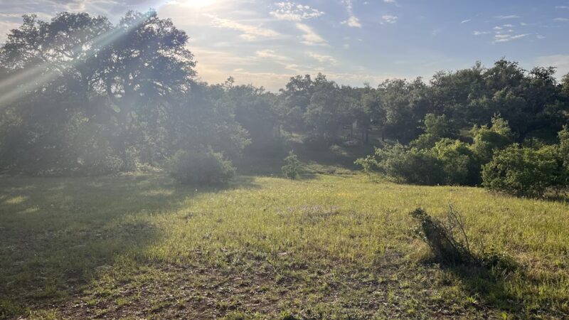 Garey Park Dog Ranch - Leander, TX