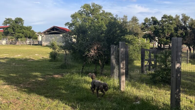 Garey Park Dog Ranch - Leander, TX