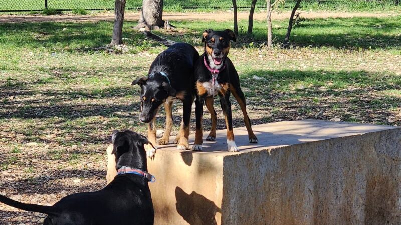 Lakewood Dog Park - Leander, TX