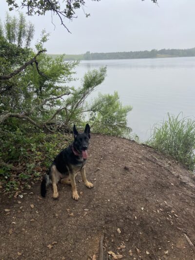 Lakewood Dog Park - Leander, TX