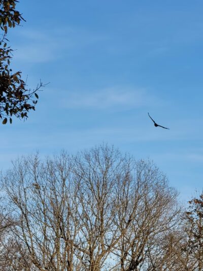 Leavenworth Roadside Park - Leavenworth, IN