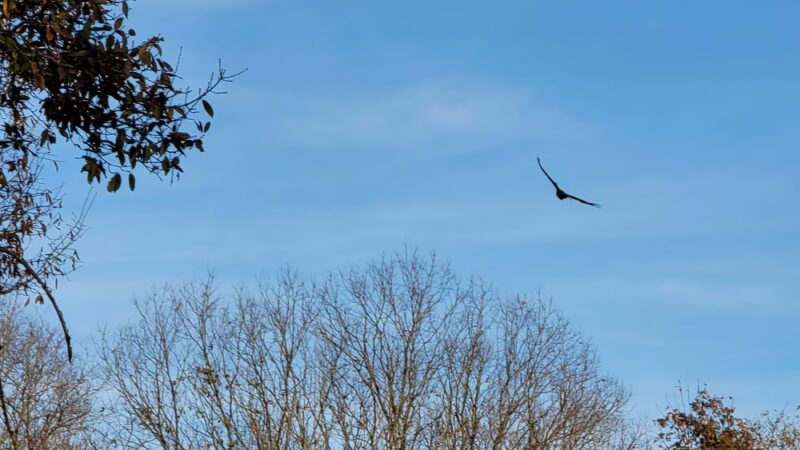 Leavenworth Roadside Park - Leavenworth, IN