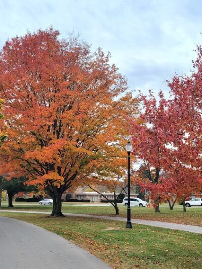 Lebanon Parks & Recreation - Lebanon, IN