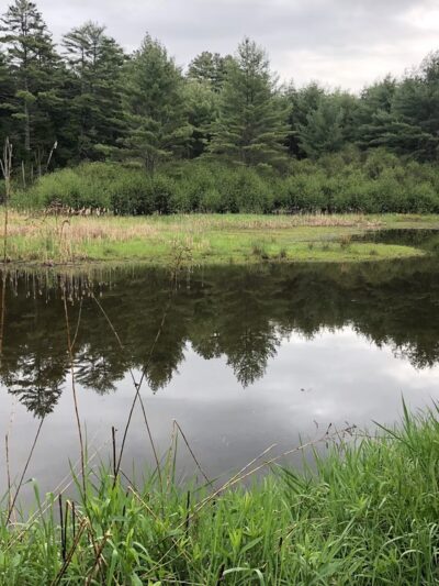 Landmark Tract / Boston Lot - Lebanon, NH