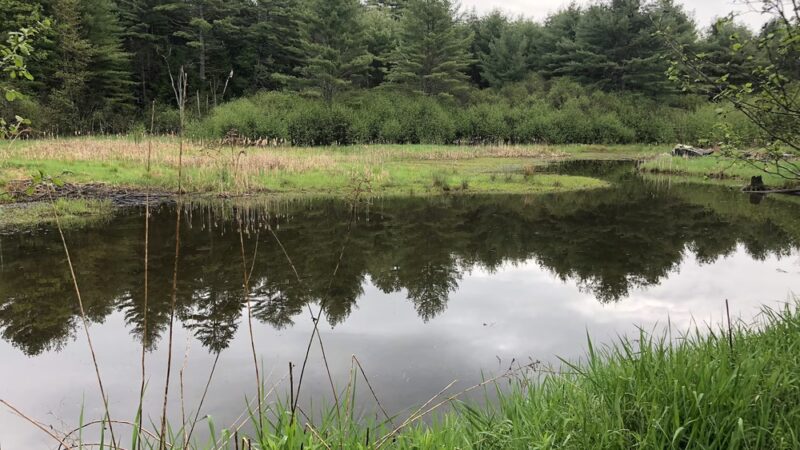 Landmark Tract / Boston Lot - Lebanon, NH