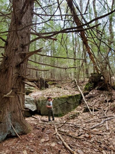 Landmark Tract / Boston Lot - Lebanon, NH