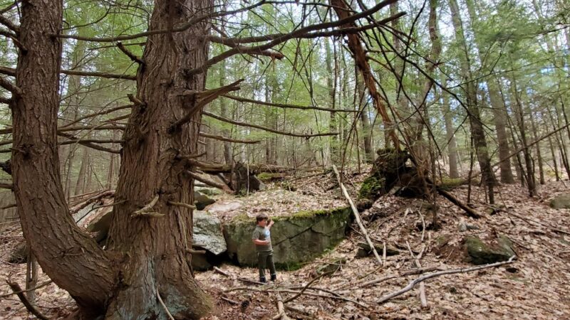 Landmark Tract / Boston Lot - Lebanon, NH