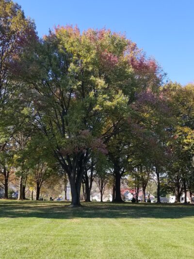South Hills Park - Lebanon, PA