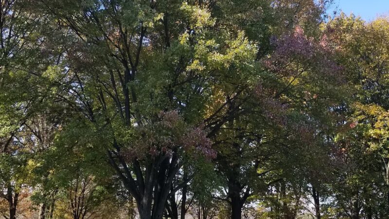 South Hills Park - Lebanon, PA