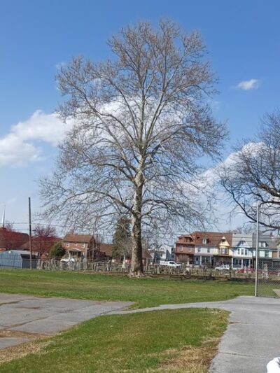 Walnut Street Park - Lebanon, PA