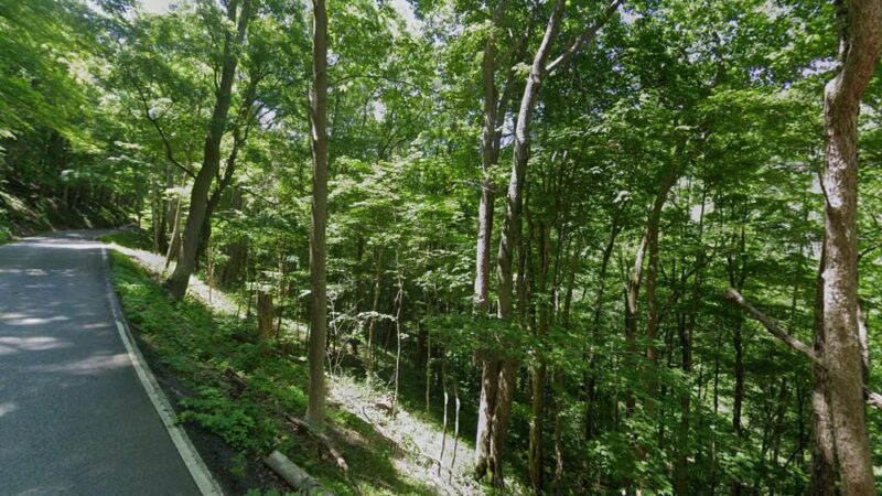 Channels park edge - Lebanon, VA