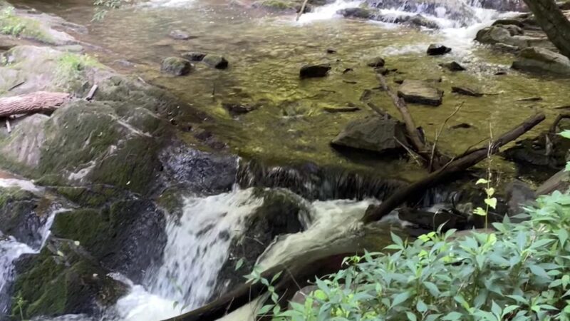J.S. Easterly Park - Lebanon, VA