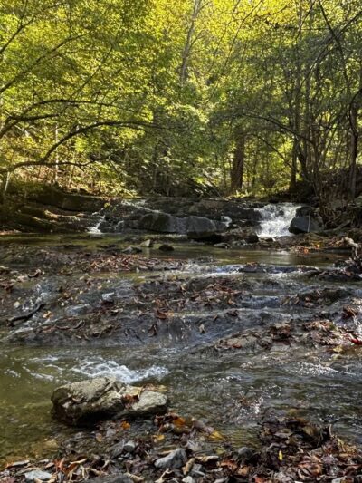J.S. Easterly Park - Lebanon, VA