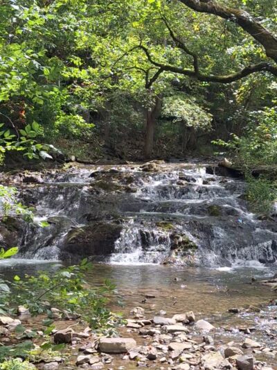 Russell County Animal Shelter - Lebanon, VA
