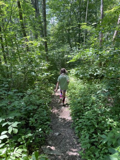 Upper Goose Pond Trail/AT Parking - Lee, MA