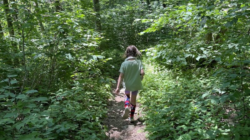 Upper Goose Pond Trail/AT Parking - Lee, MA