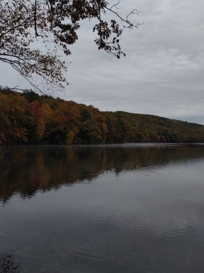 Upper Goose Pond Trail/AT Parking - Lee, MA