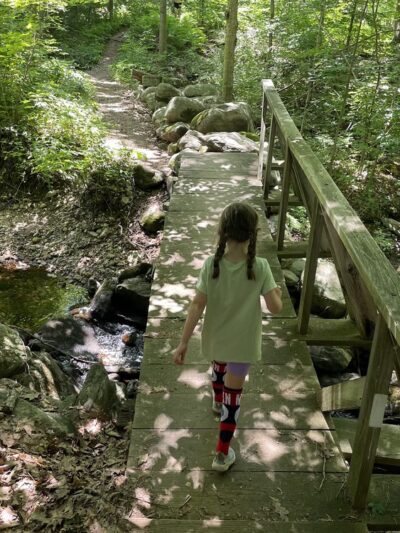 Upper Goose Pond Trail/AT Parking - Lee, MA