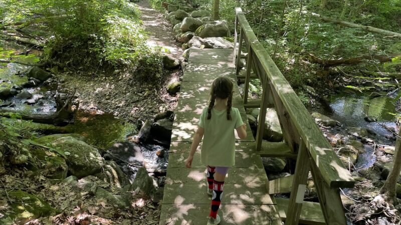 Upper Goose Pond Trail/AT Parking - Lee, MA