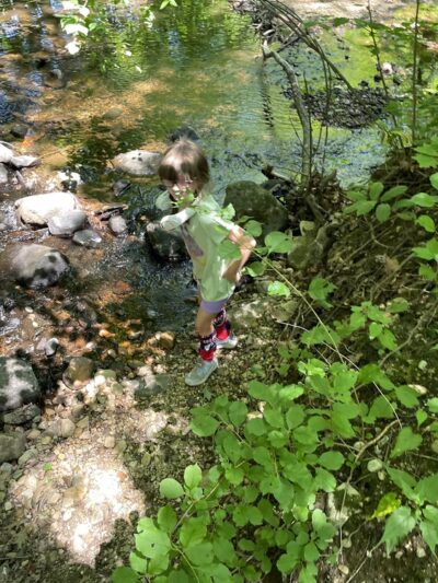 Upper Goose Pond Trail/AT Parking - Lee, MA